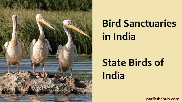 Bird Sanctuaries in India, State Birds of India - ParikshaHub